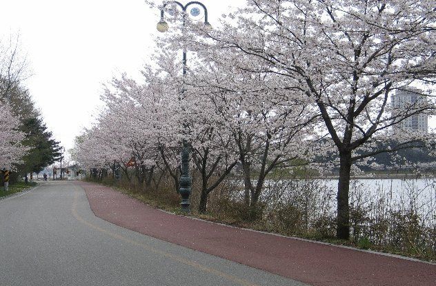 Youngrangho Resort Sokcho Exterior foto